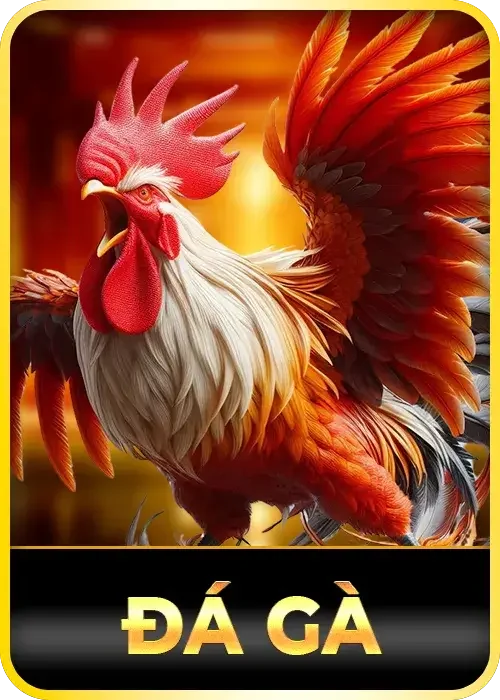 Đá gà 3WIN